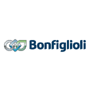 Bongi